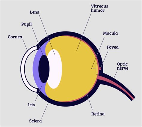 EYES HERE!!! The following.